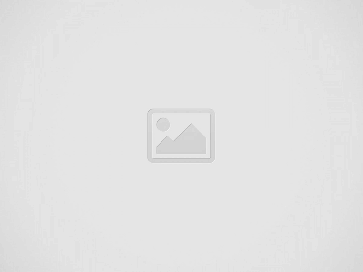 HSLC Computer Science Solution: Chapter 12 (MySQL)