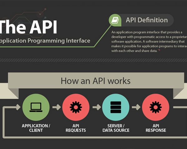 api infographic ujudebug