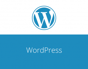 How to Update Your WordPress Website