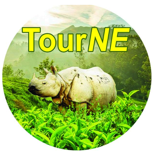 TourNe Logo