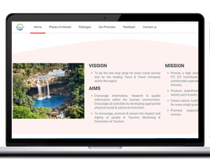 Tour and Travel agency website designing