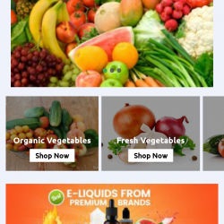 Grocery Delivery Application Digital Marketing