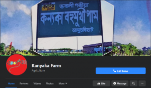 kanyaka social media markting