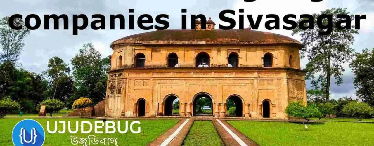 Website designing companies in Sivasagar