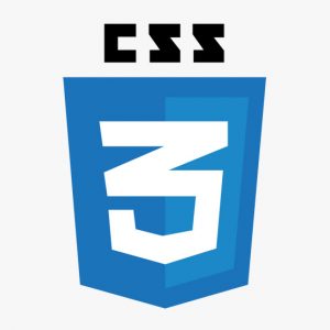 CSS logo