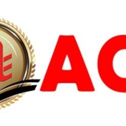 ace client logo