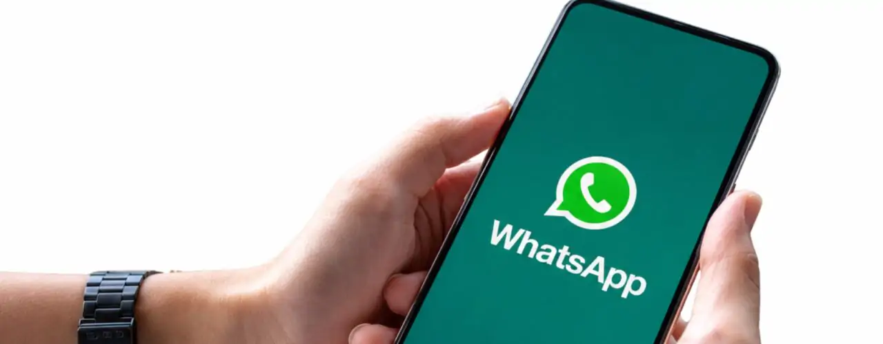 Improve Customer Experience with Biz Wapp AI-Powered Chatbot for Business Automation